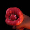 MyPlayToys Stimulateur vibrant Big Mouth